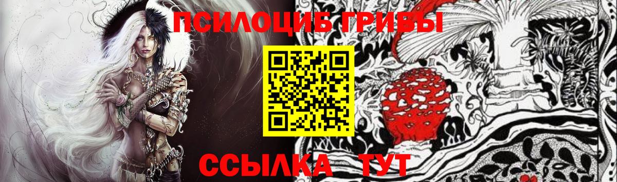 купить наркоту  Галлюциногенные грибы ЛСД  Галлюциногенные грибы Cubensis  Вход с VPN  Ачхой-Мартан 