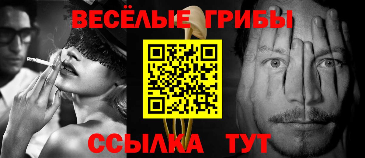 Галлюциногенные грибы мухоморы Ачхой-Мартан